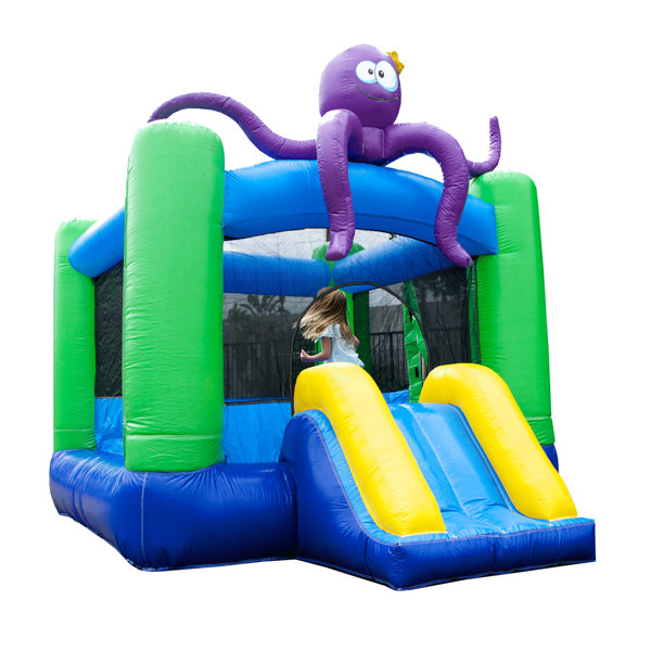 Chicago Bounce House Rentals - 13x17